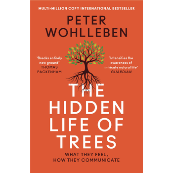 The Hidden Life of Trees (Paperback) bij Singel 344