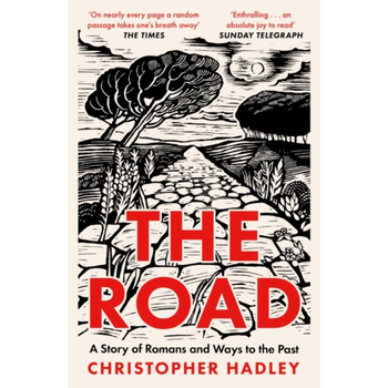 The Road (Paperback) bij Singel 344