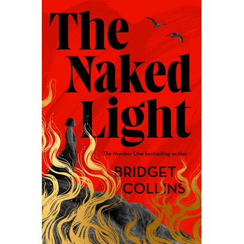 The Naked Light (Paperback) bij Singel 344