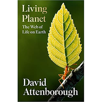 Living Planet (Paperback) bij Singel 344