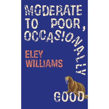 Moderate to Poor, Occasionally Good (Paperback) bij Singel 344