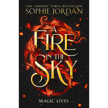 A Fire in the Sky (Paperback) bij Singel 344