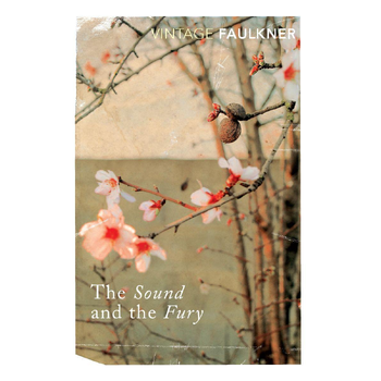 The Sound and the Fury (Paperback) bij Singel 344