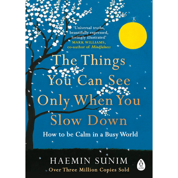 The Things You Can See Only When You Slow Down (Paperback) bij Singel 344