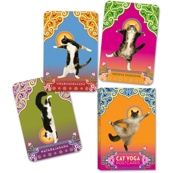 Cat Yoga Postcards bij Singel 344