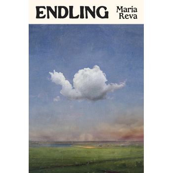 Endling (Paperback) bij Singel 344