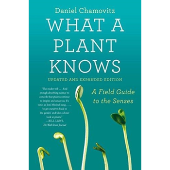 What a Plant Knows (Paperback) bij Singel 344