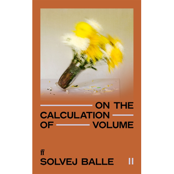 On the Calculation of Volume II (Paperback) bij Singel 344