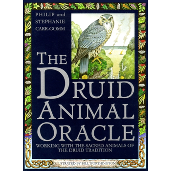Druid Animal Oracle (Paperback) bij Singel 344