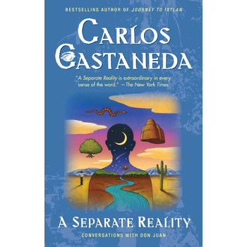 Separate Reality (Paperback) bij Singel 344