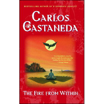 Fire from Within (Paperback) bij Singel 344