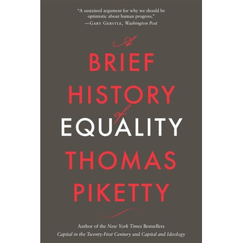 A Brief History of Equality (Paperback) bij Singel 344