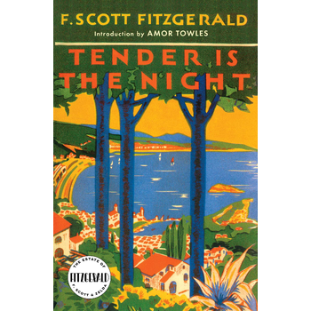 Tender Is the Night (Paperback) bij Singel 344
