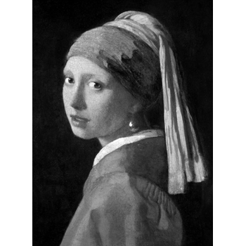 Vermeer (Hardback) bij Singel 344