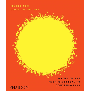 Flying Too Close to the Sun (Hardback) bij Singel 344
