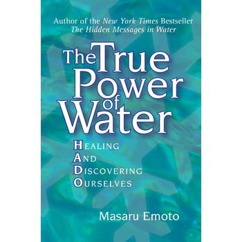 The True Power of Water (Paperback) bij Singel 344