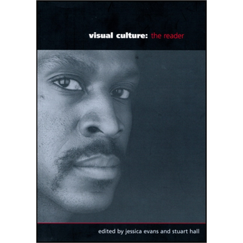 Visual Culture (Paperback) bij Singel 344