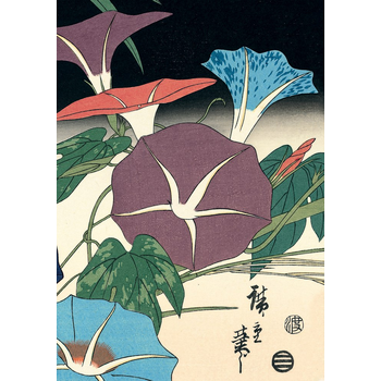 Journal Morning Glories & Cricket, Hiroshige Lined Paperback (Paperback) bij Singel 344
