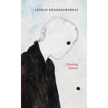 Chasing Homer (Hardback) bij Singel 344