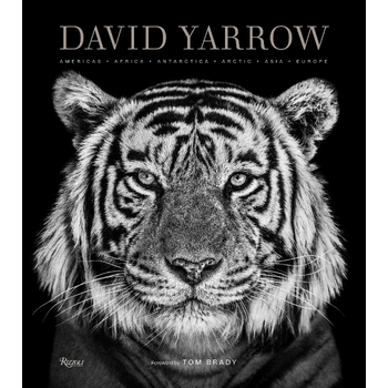 David Yarrow Photography (Hardback) bij Singel 344