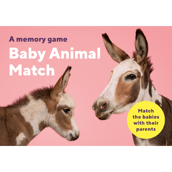 Baby Animal Match bij Singel 344
