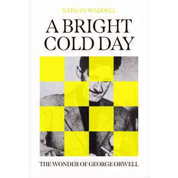 A Bright Cold Day (Hardback) bij Singel 344