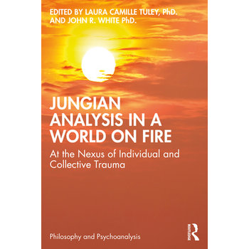 Jungian Analysis in a World on Fire (Paperback) bij Singel 344