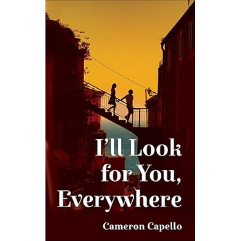 I'll Look for You, Everywhere (Paperback) bij Singel 344