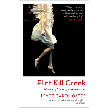 Flint Kill Creek (Paperback) bij Singel 344