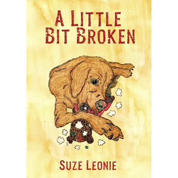 A Little Bit Broken (Hardback) bij Singel 344