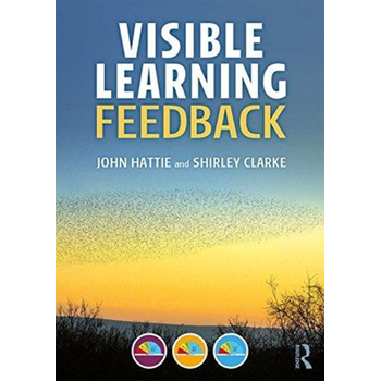 Visible Learning: Feedback (Paperback) bij Singel 344