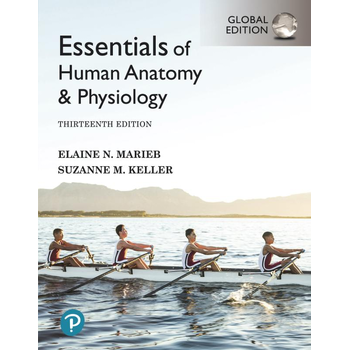 Essentials of Human Anatomy & Physiology, Global Edition (Paperback) van Elaine Marieb, Suzanne Keller