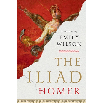 The Iliad (Paperback) bij Singel 344