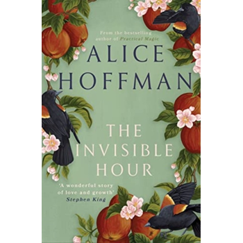 The Invisible Hour (Paperback) bij Singel 344