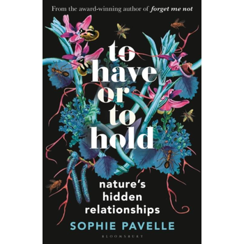 To Have or To Hold (Hardback) bij Singel 344