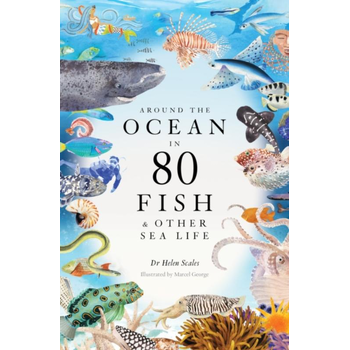 Around the Ocean in 80 Fish and other Sea Life (Hardback) bij Singel 344