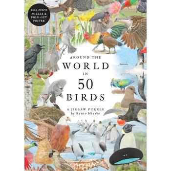 Around the World in 50 Birds bij Singel 344