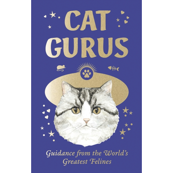 Cat Gurus: Mini bij Singel 344