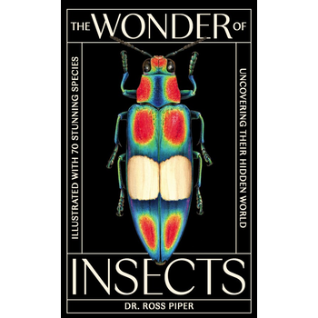 The Wonder of Insects: Uncovering their Hidden World (Hardback) bij Singel 344
