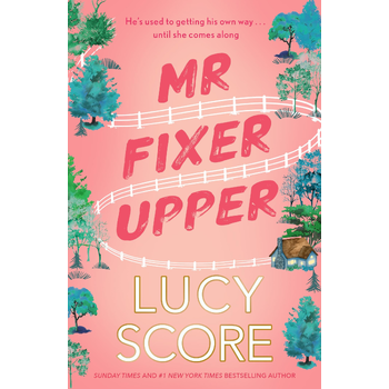 Mr Fixer Upper (Paperback) bij Singel 344