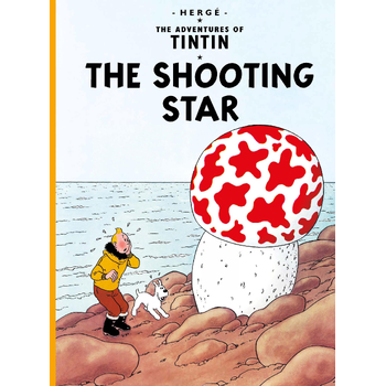 The Shooting Star (Paperback) bij Singel 344