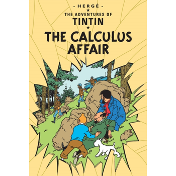 The Calculus Affair (Paperback) bij Singel 344