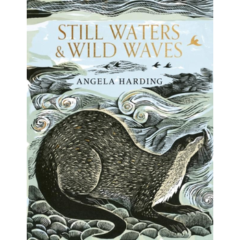 Still Waters & Wild Waves (Hardback) bij Singel 344