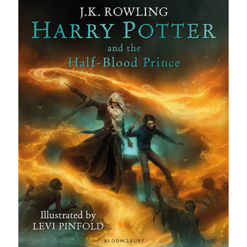 Harry Potter and the Half-Blood Prince (Hardback) bij Singel 344