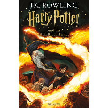 Harry Potter & The Half Blood Prince bij Singel 344