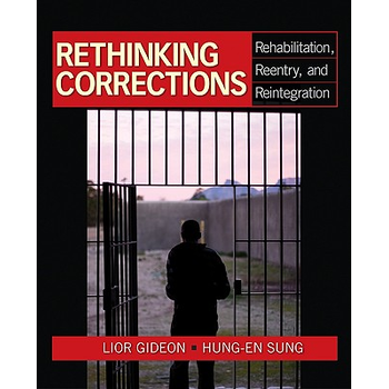 Community Projects as Social Activism: From Direct Action to Direct Services (Paperback) bij Singel 344