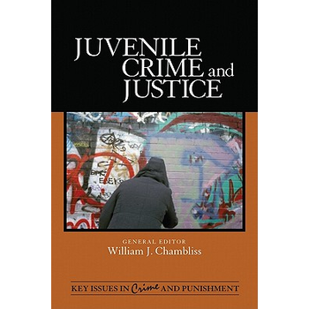 Juvenile Crime and Justice (Hardback) bij Singel 344