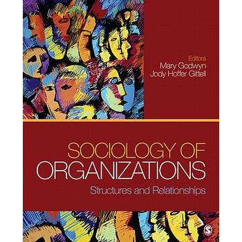 Sociology of Organizations (Paperback) bij Singel 344