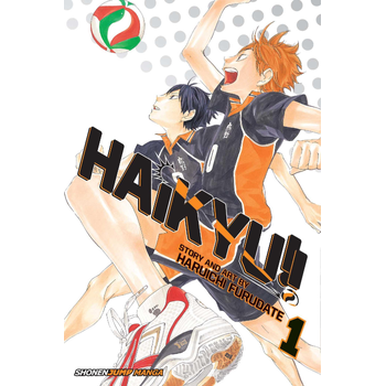 Haikyu!!, Vol. 1 (Paperback) bij Singel 344