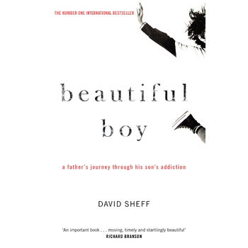 Beautiful Boy (Paperback) bij Singel 344